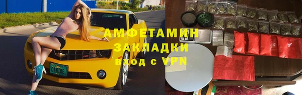 трава Арсеньев