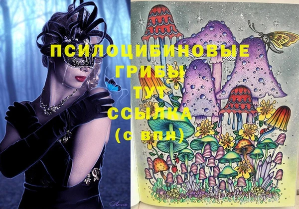 трава Арсеньев
