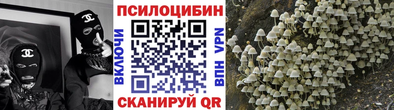 Псилоцибиновые грибы мухоморы  Ишим 